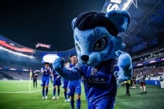 中超积分榜风云再起：国安意外失利，申花与山东泰山激战平局