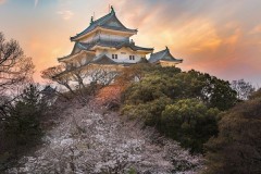 成都蓉城3-0轻松晋级亚冠正赛，三人表现抢眼，全队整体出彩